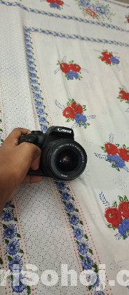 Canon 4000d